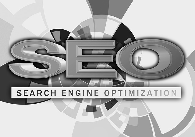profesionál seo